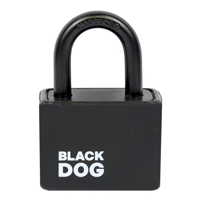 ocelový visací zámek RV.BLACKDOG.30